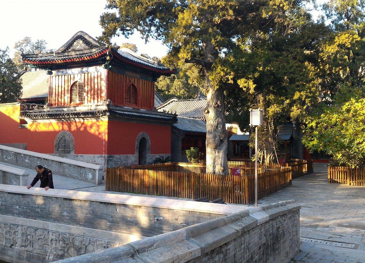 A scenic view of Beijing Haidian Dajuesi