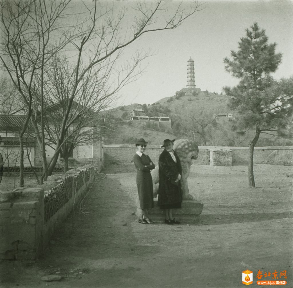 A scenic view of Beijing Haidian Jingmingyuan