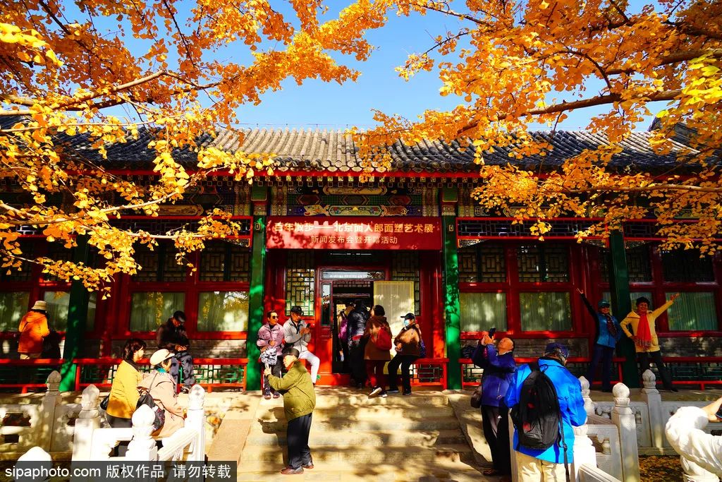 A scenic view of Beijing Haidian Jueshengsi
