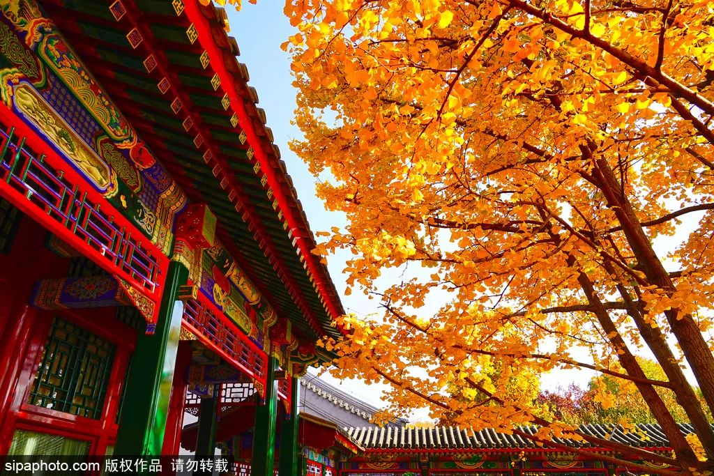 A scenic view of Beijing Haidian Jueshengsi