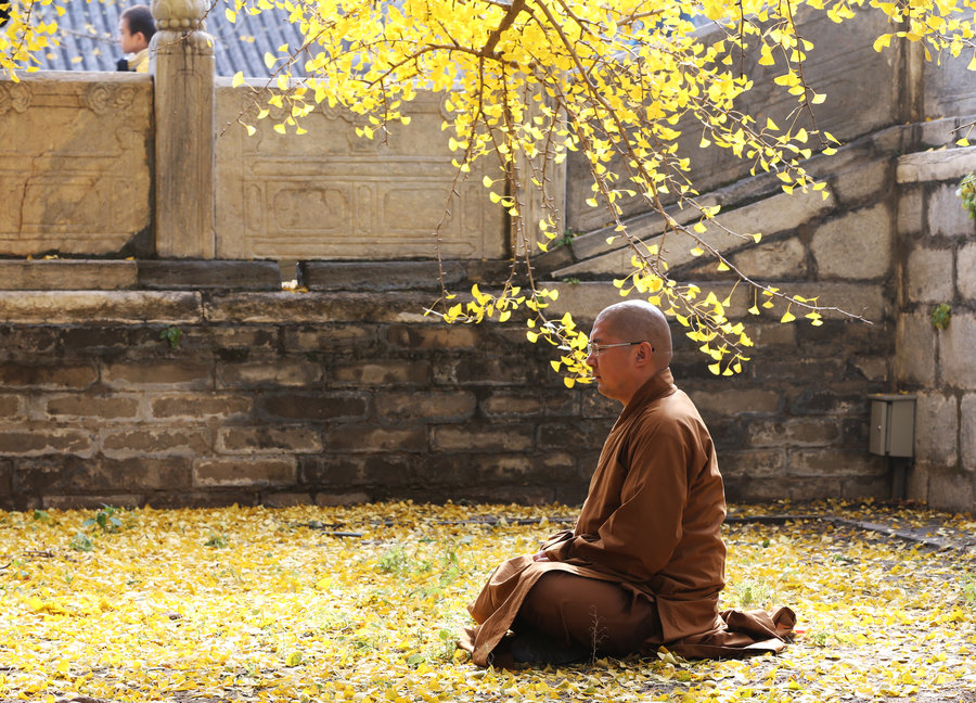 A scenic view of Beijing Haidian Shifangpujuesi