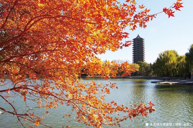 A scenic view of Beijing Haidian Weiminghu Yanyuan Jianzhu