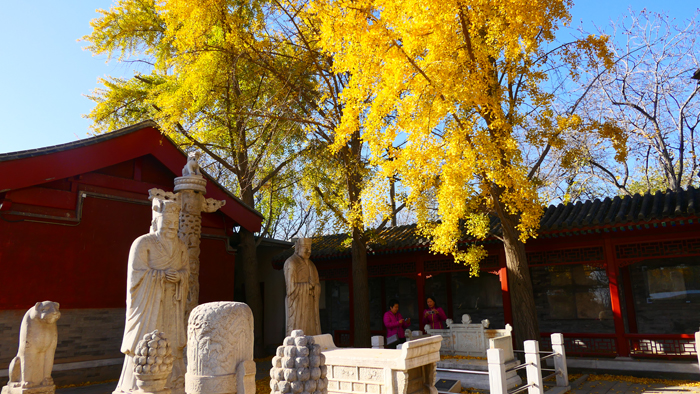 A scenic view of Beijing Haidian Zhenjuesi Jingangbaozuo