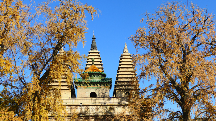 A scenic view of Beijing Haidian Zhenjuesi Jingangbaozuo