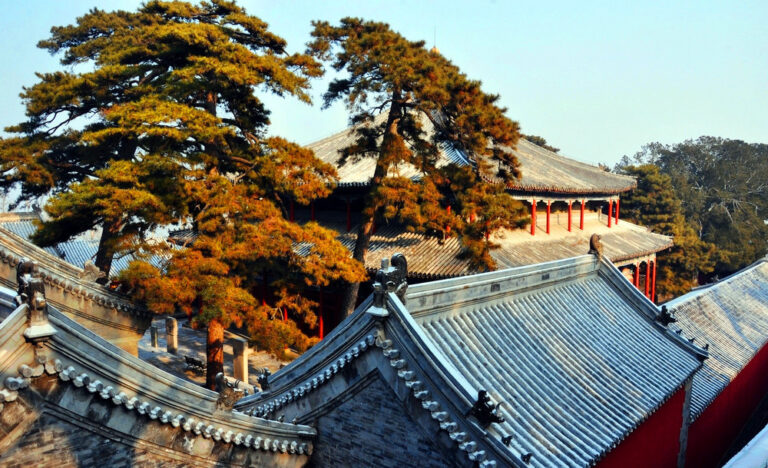 A Traveler’s Guide to Jietai Si: Experience the Tranquility of Beijing’s Mentougou Area