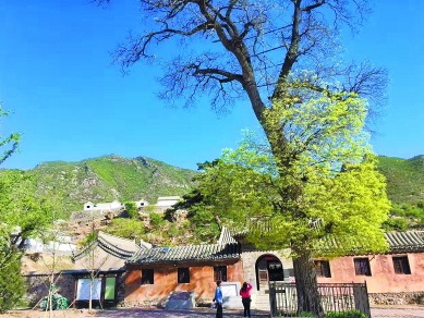 A scenic view of Beijing Mentougou Lingyue Si
