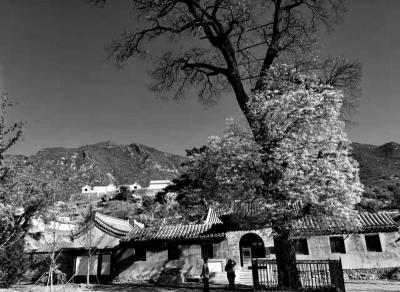 A scenic view of Beijing Mentougou Lingyue Si