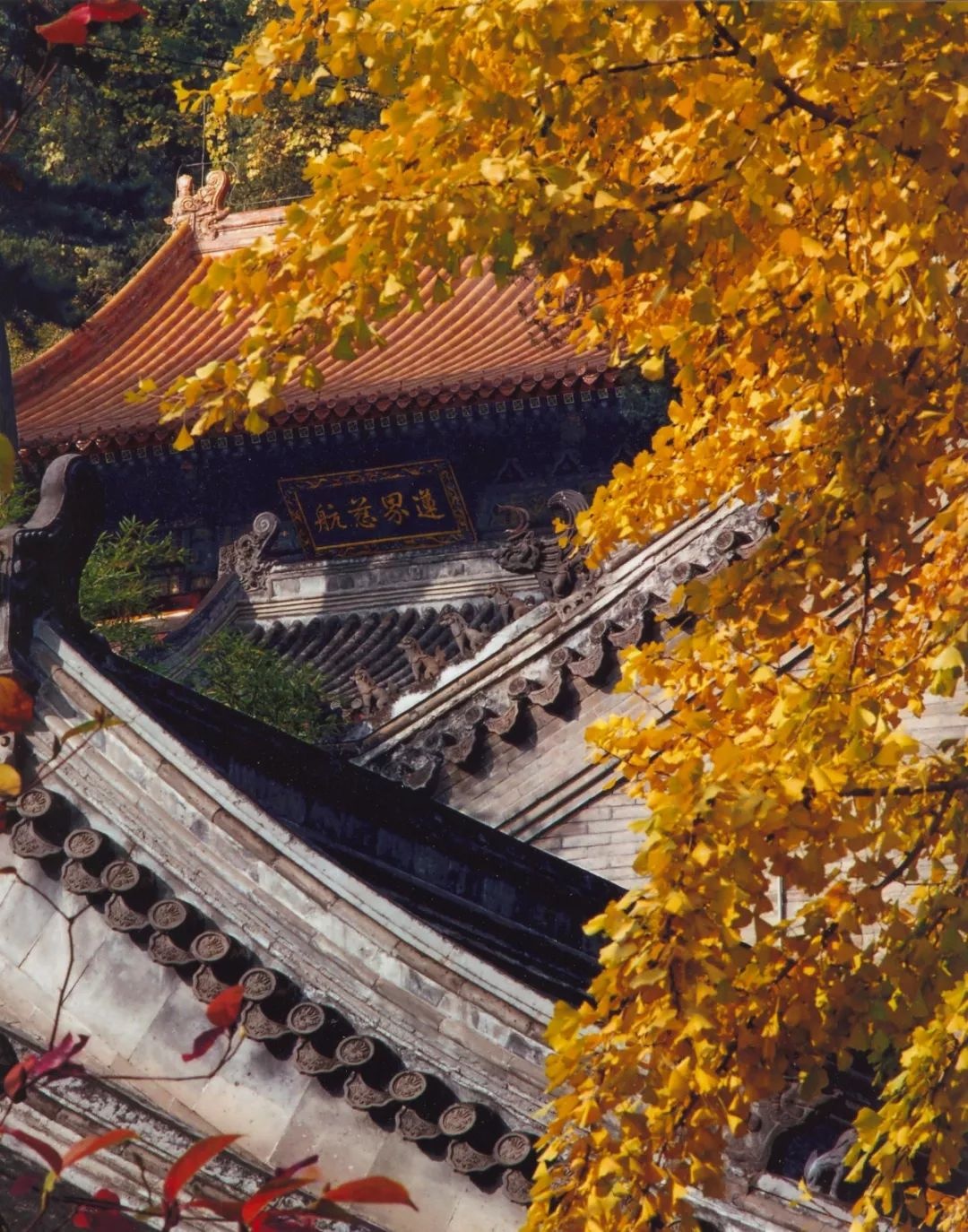 A scenic view of Beijing Mentougou Tanzhe Si
