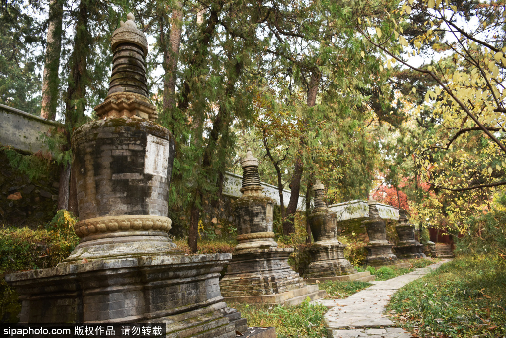 A scenic view of Beijing Mentougou Tanzhe Si