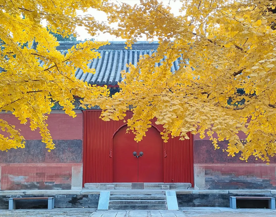 A scenic view of Beijing Shijingshan Chengensi
