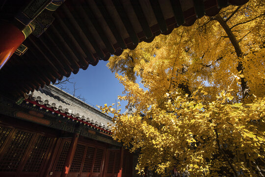 A scenic view of Beijing Shijingshan Chengensi
