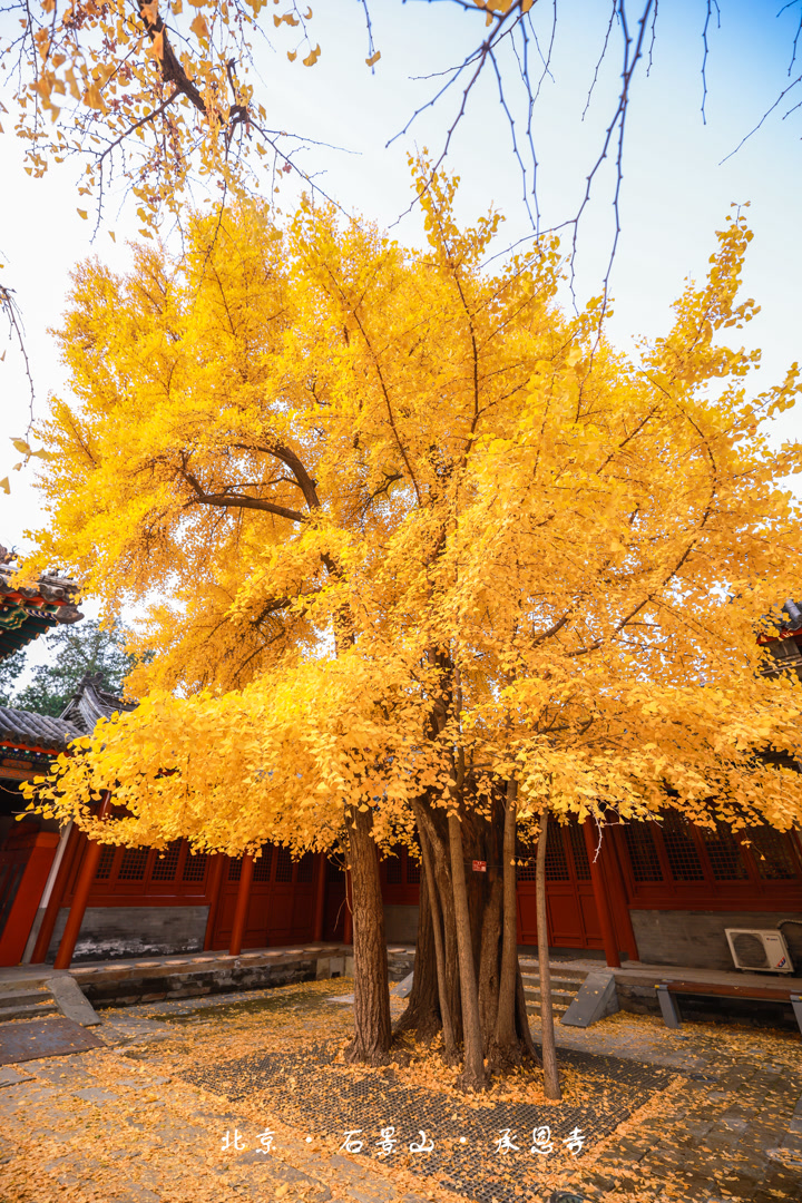A scenic view of Beijing Shijingshan Chengensi