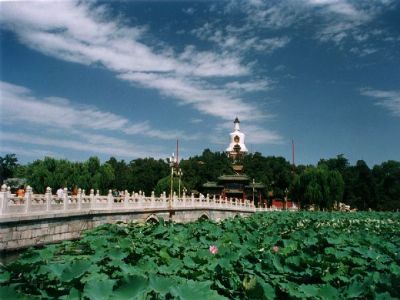 A scenic view of Beijing Xicheng Beihai Ji Tuancheng