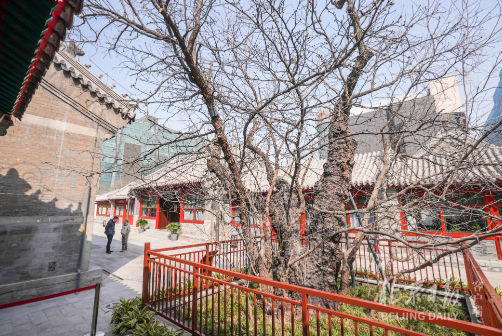 A scenic view of Beijing Xicheng Guoli Mengzang Xuexiao Jiuzhi