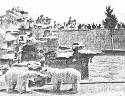 A scenic view of Beijing Xicheng Qing Nongshi Shiyanchang Jiuzhi