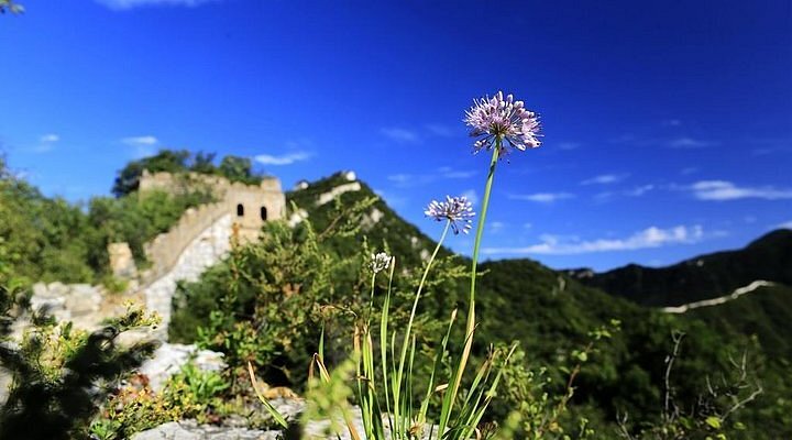 A scenic view of Beijing Xicheng Songqingling Guju