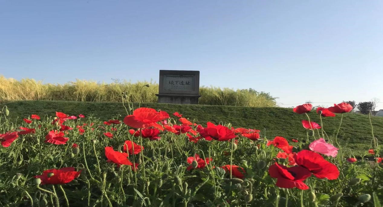 A scenic view of Bengbu Gaixia Yizhi