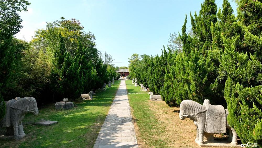 A scenic view of Bengbu Tanghe Mu