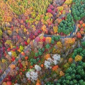 A scenic view of Benxi Bianniushan Chengzhi