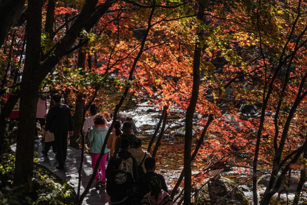 A scenic view of Benxi Bianniushan Chengzhi