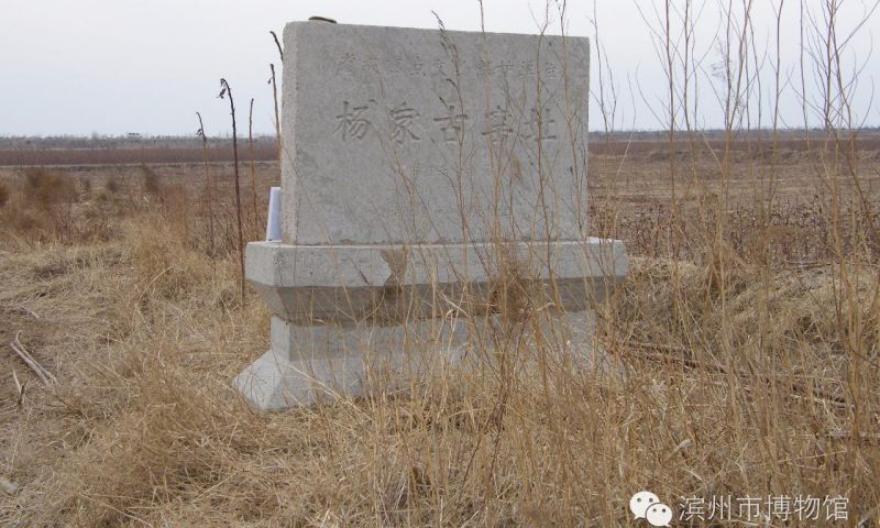 A scenic view of Binzhou Yangjia Yanye Yizhiqun