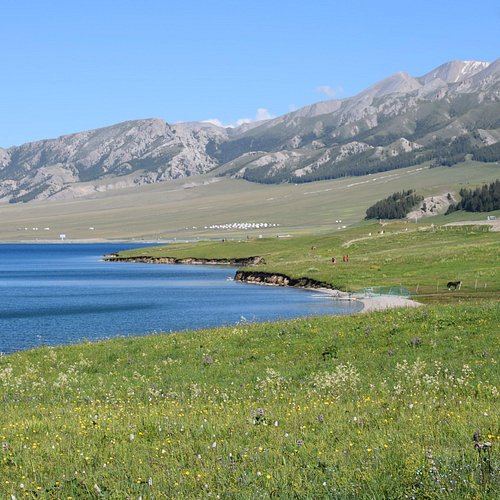 A scenic view of Bortala Sailimuhu Gumuqun