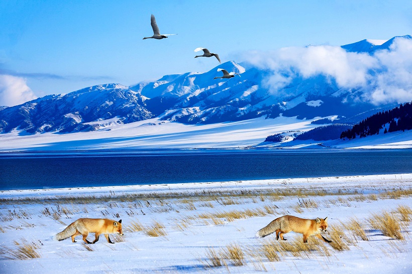 A scenic view of Bortala Sailimuhu Gumuqun