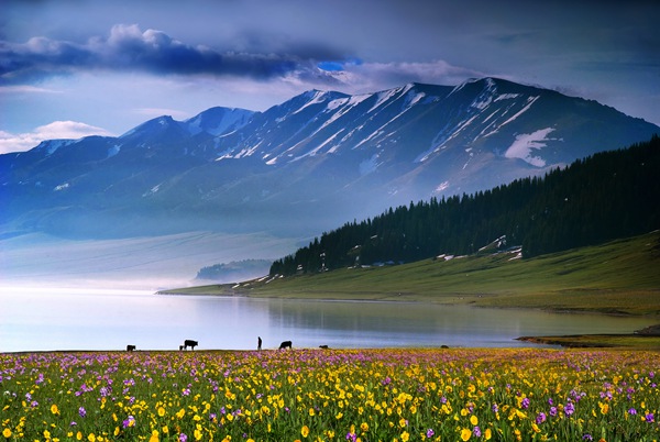 A scenic view of Bortala Sailimuhu Gumuqun