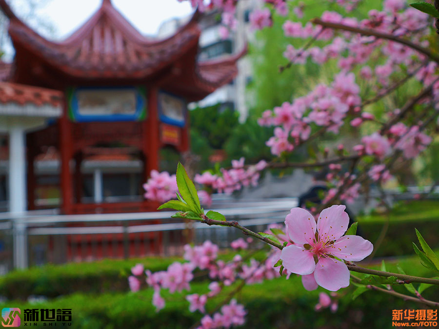A scenic view of Bozhou Xuegeta