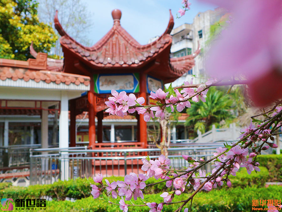 A scenic view of Bozhou Xuegeta