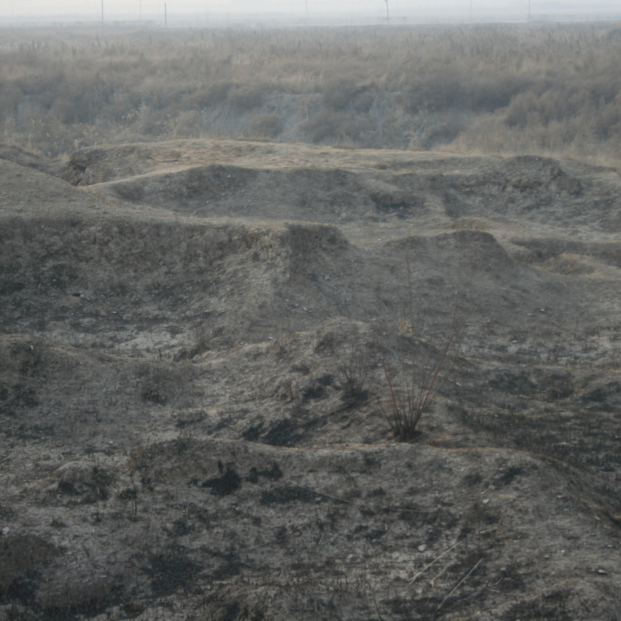A scenic view of Cangzhou Yabazhuang Site