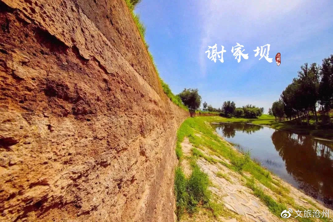 A scenic view of Cangzhou Yabazhuang Site