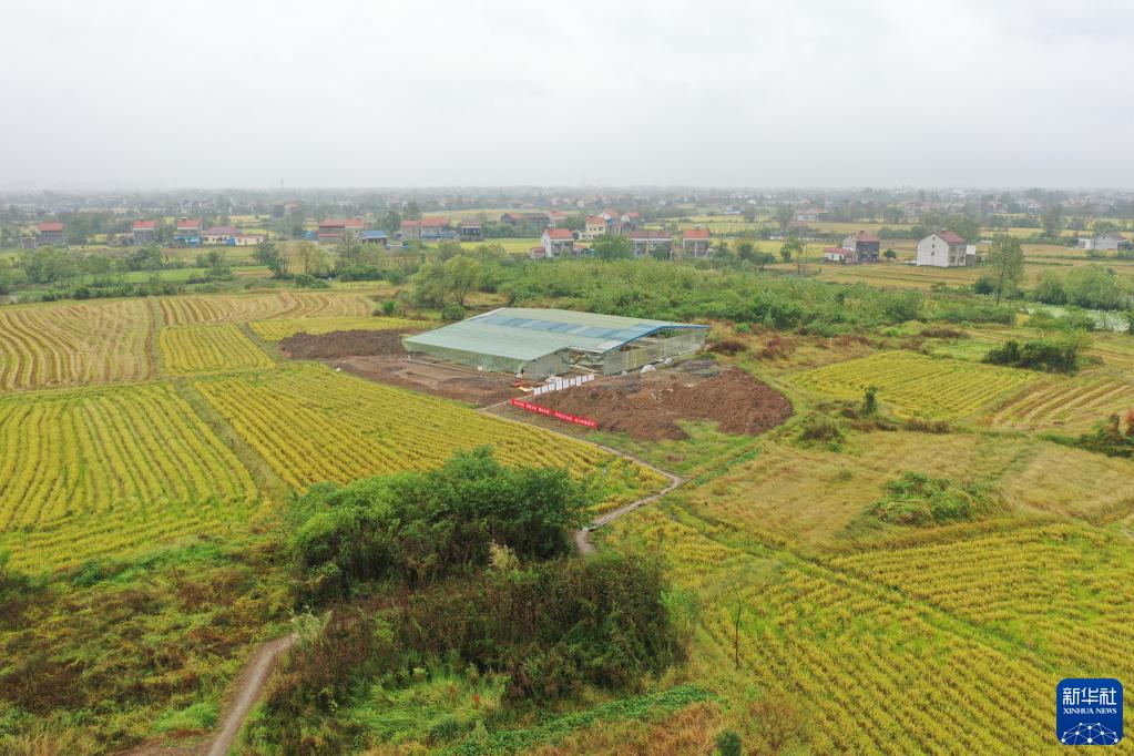 A scenic view of Changde Cailingcheng Yizhi