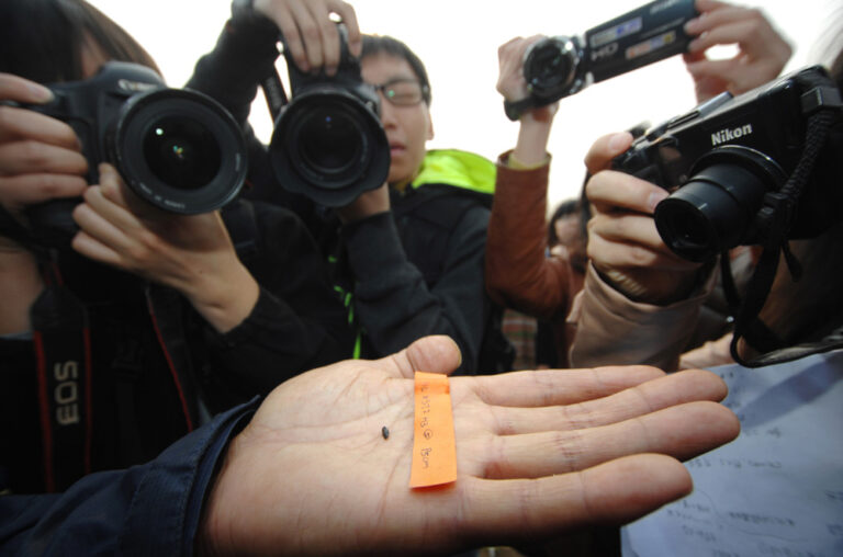 Unveiling Changde Shanlonggang Yizhi: A Unique Destination in Hunan