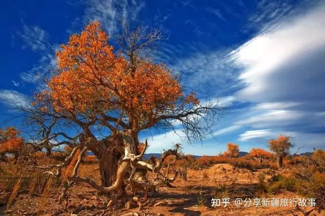 A scenic view of Changji Xiaolizhuang Junken Jiuzhi