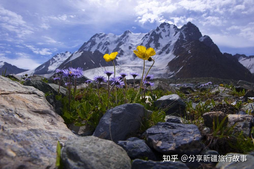 A scenic view of Changji Xiaolizhuang Junken Jiuzhi