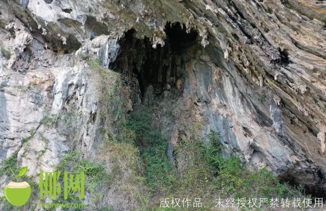 A scenic view of Changjiang Xinchongdong Yizhi