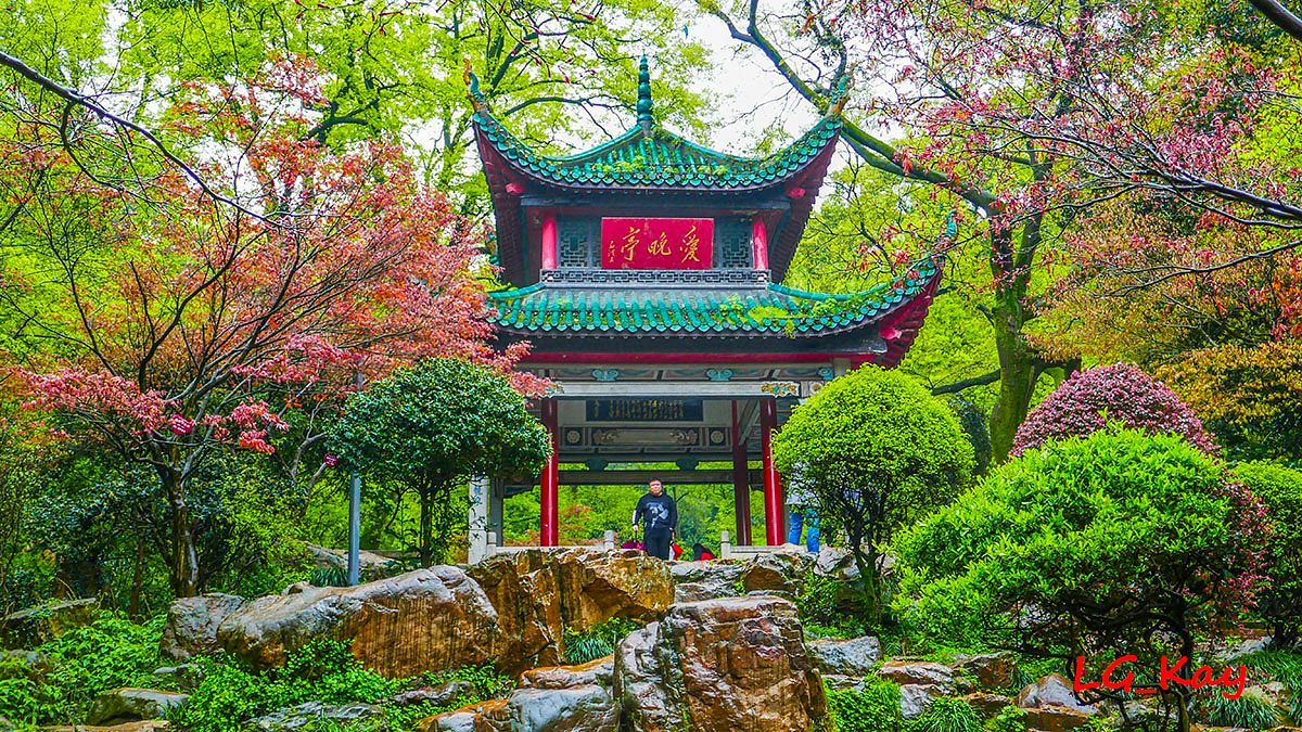 A scenic view of Changsha Aiwanting