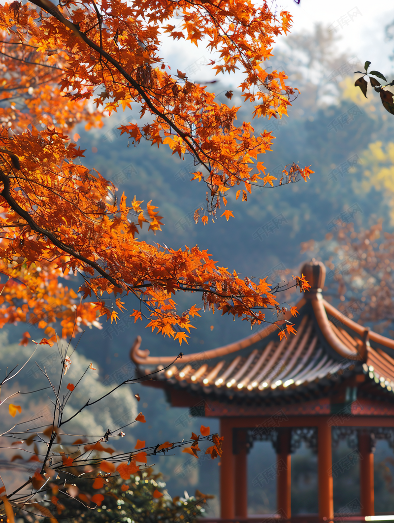A scenic view of Changsha Aiwanting