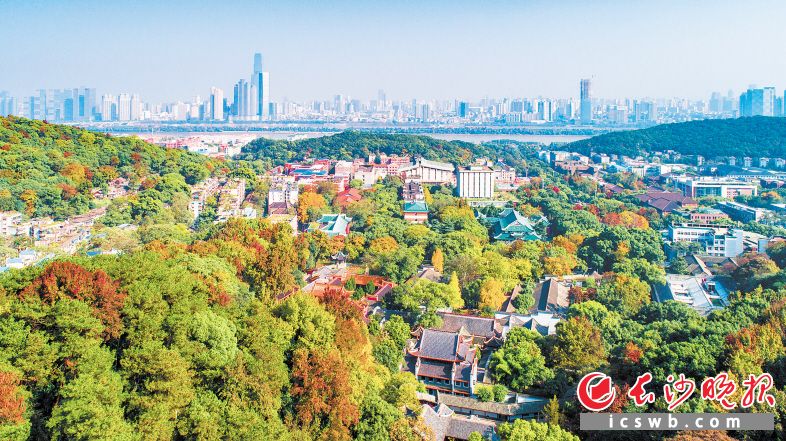 A scenic view of Changsha Hunan Daxue Zaoqi Jianzhuqun