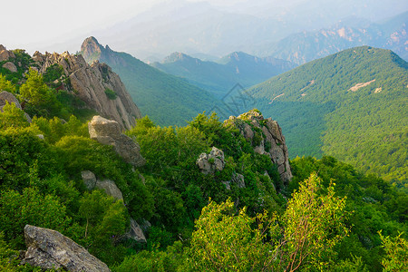 A scenic view of Chengde Puning Temple