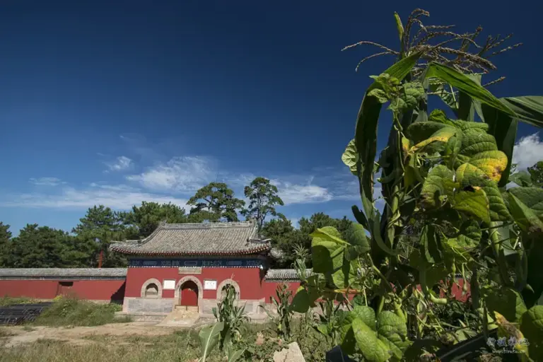 Chengde Puren Temple: Your Ultimate Guide to Hebei’s Spiritual Oasis