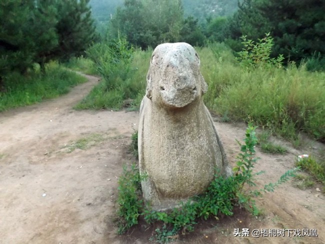 A scenic view of Chengde Shiyang Shihu Tombs