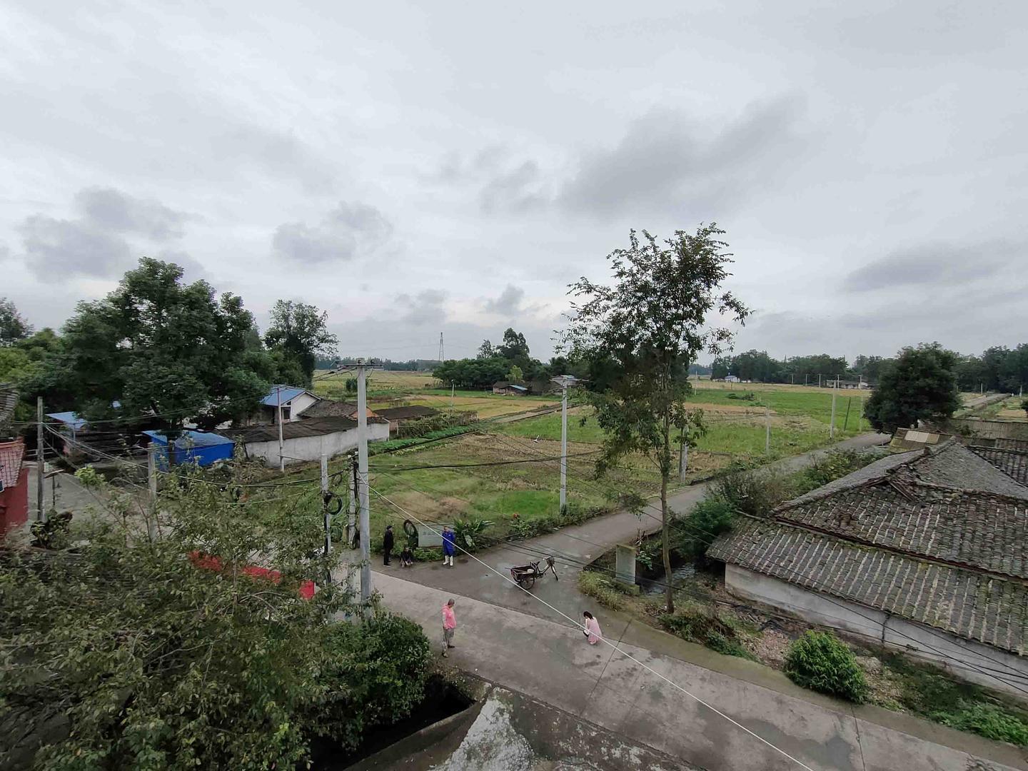 A scenic view of Chengdu Gaoshan Gucheng Yizhi