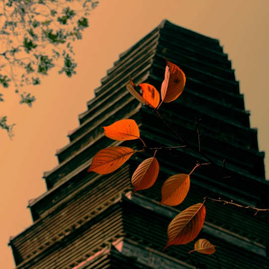 A scenic view of Chengdu Kuiguangta