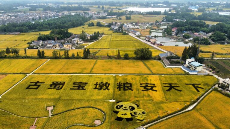 Unveiling the Charm of Chengdu: A Guide to Pingyuan Shiqian Chengzhi