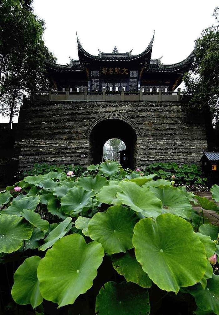 A scenic view of Chengdu Yangsheng An Ci Ji Guihu