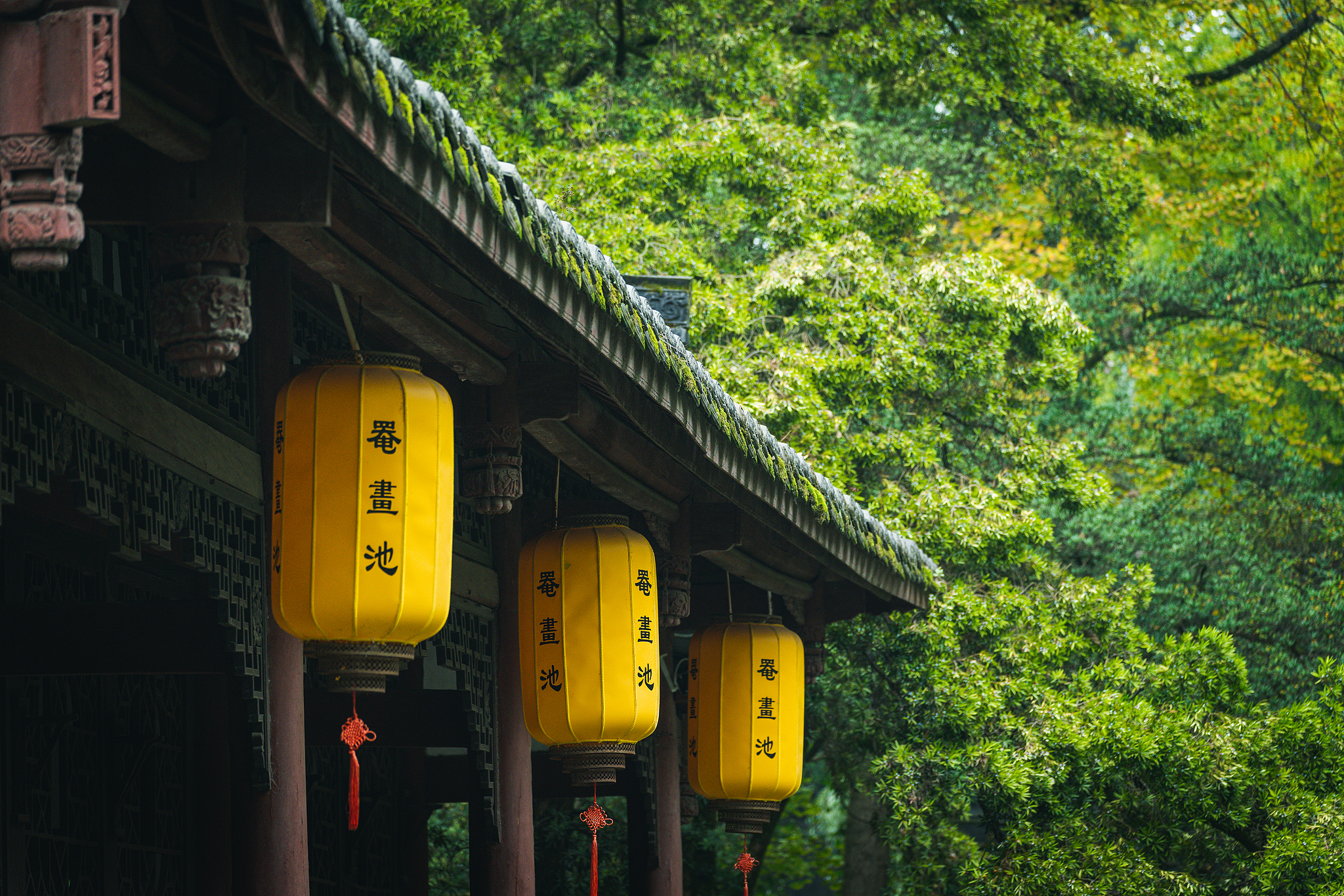 A scenic view of Chengdu Yanhuachi