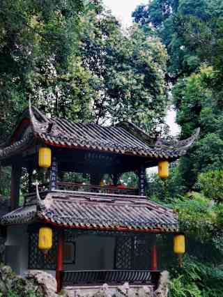 A scenic view of Chengdu Yanhuachi