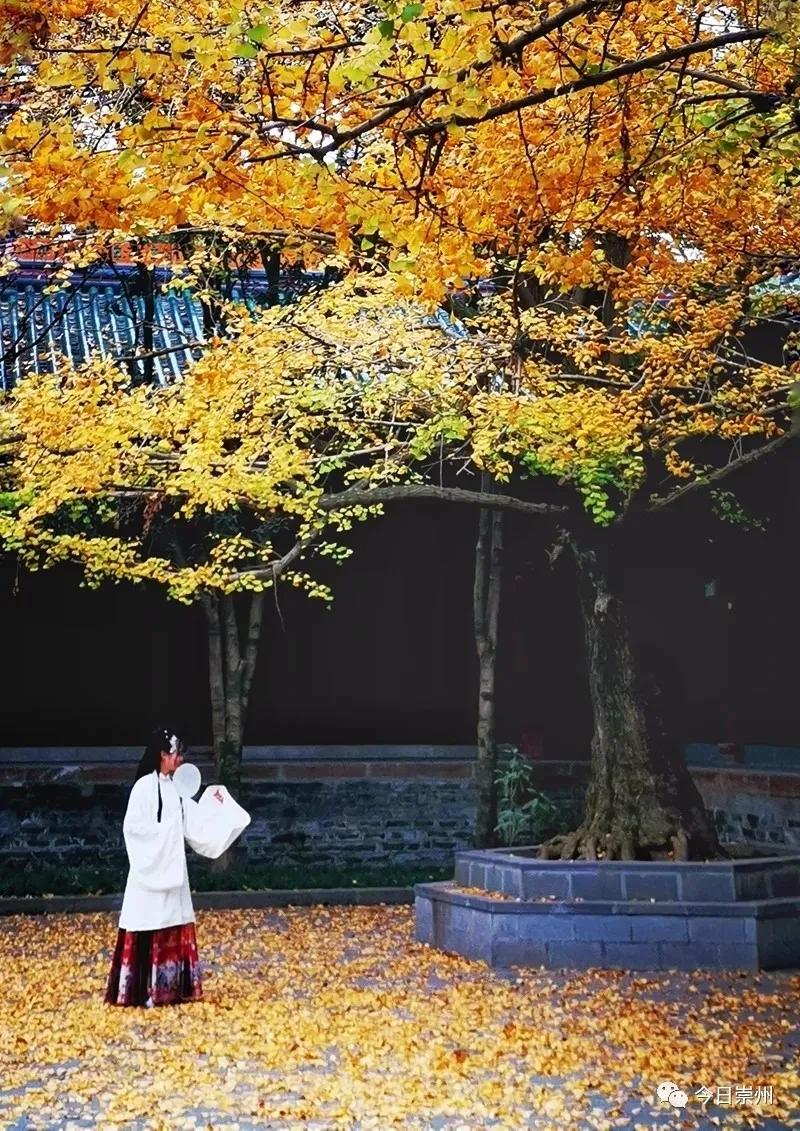 A scenic view of Chengdu Yanhuachi